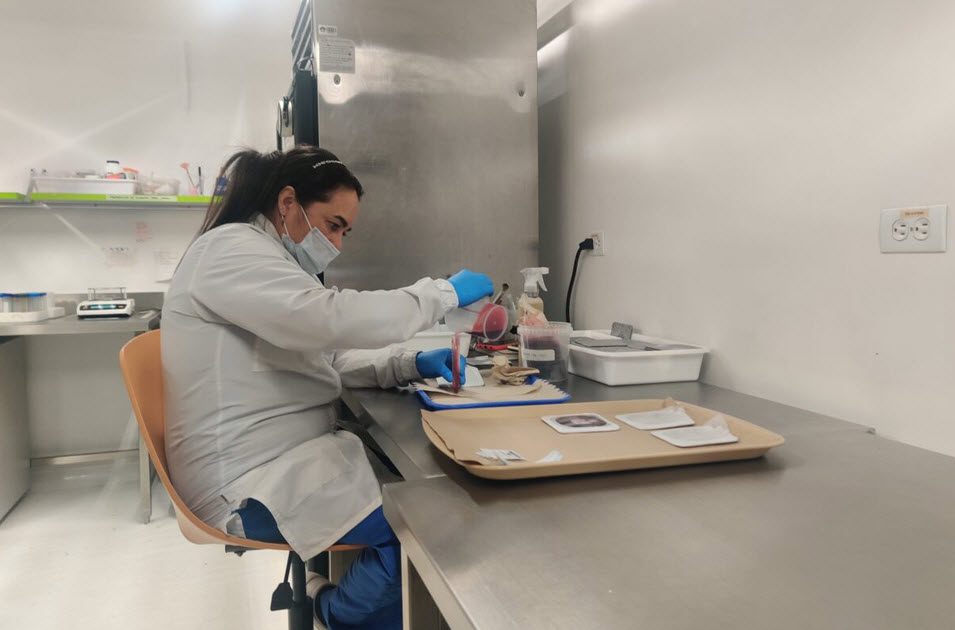 Image of scientist in Colombia in the Wolbachia lab.