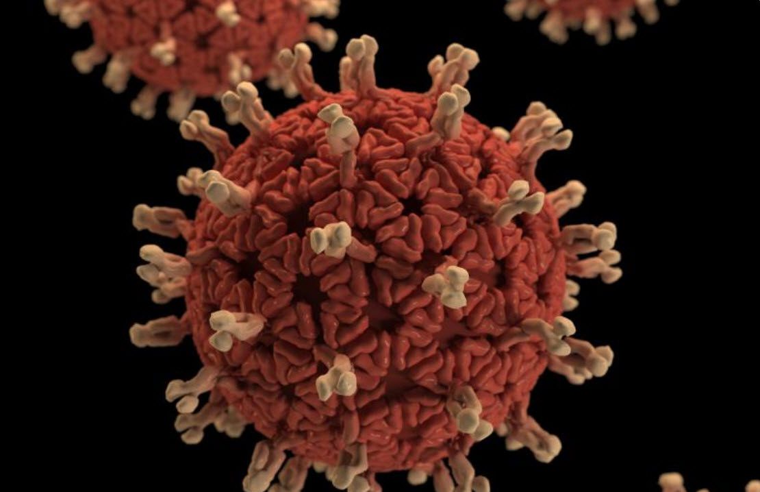Image of SARS-CoV2 virus