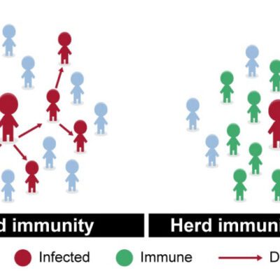 Graphic of Herd Immunity