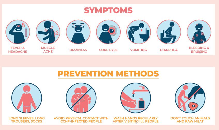 Graphics on symptoms and prevention methods for Crimean Congo Hemorrhagic Fever